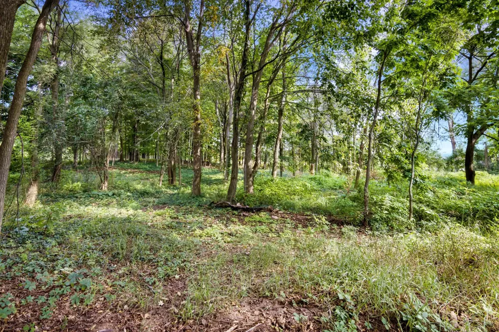 Birmley Road Garfield Charter Township, MI 49696