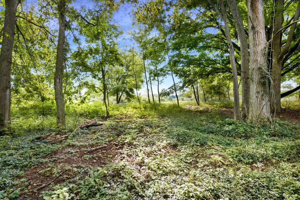Birmley Road Garfield Charter Township, MI 49696