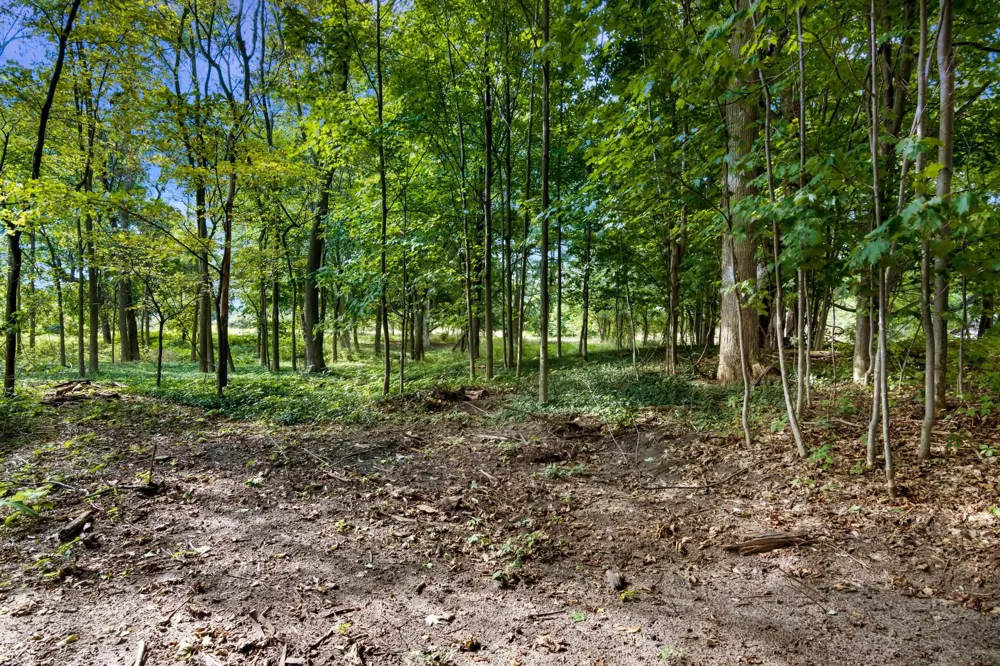 Birmley Road Garfield Charter Township, MI 49696