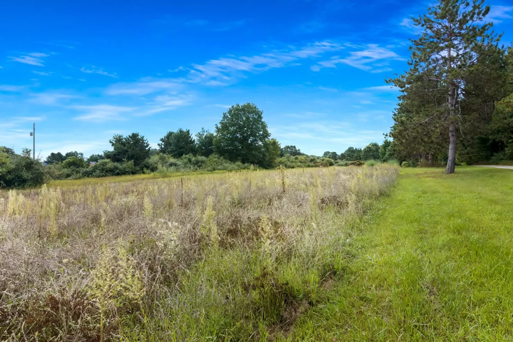 Birmley Road Garfield Charter Township, MI 49696