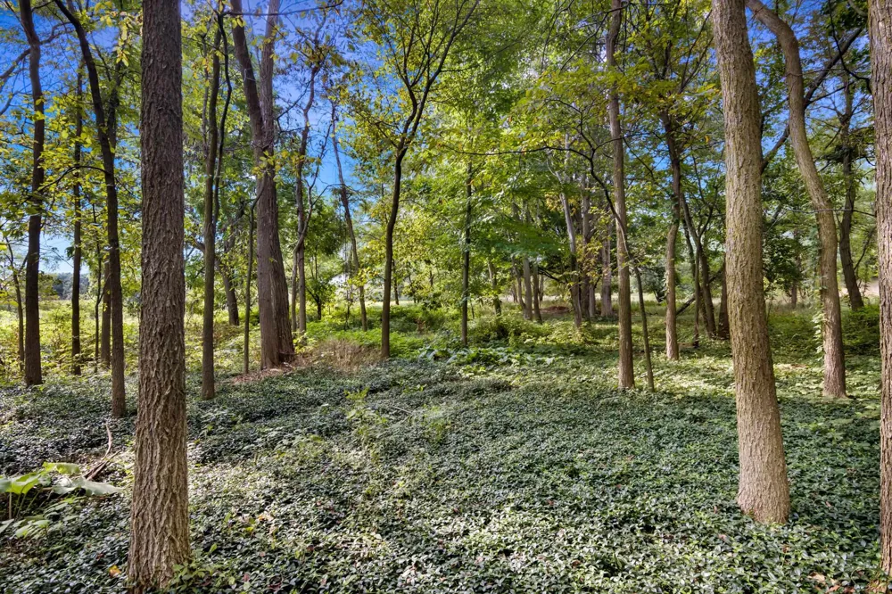 Birmley Road Garfield Charter Township, MI 49696