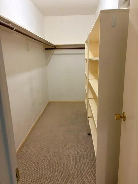 4223 W Alabama Street #2 Hockley, TX 77027
