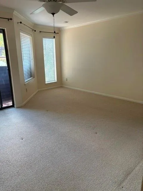 4223 W Alabama Street #2 Hockley, TX 77027
