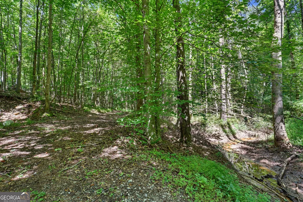 422 Fair Valley RD Demorest, GA 30535