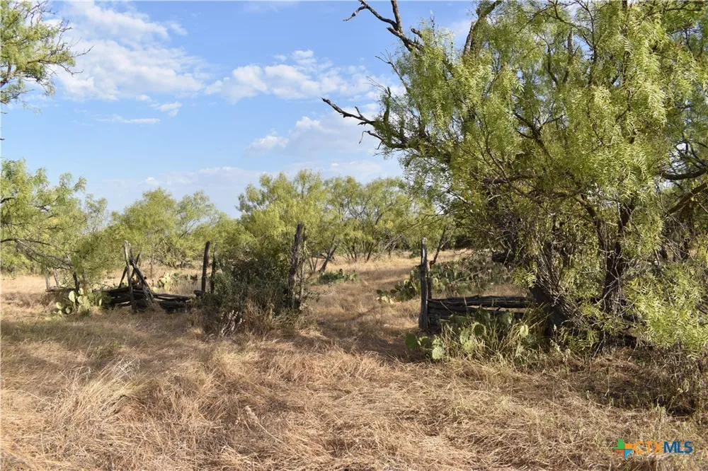 3877 W US Highway 190 Lometa, TX 76853