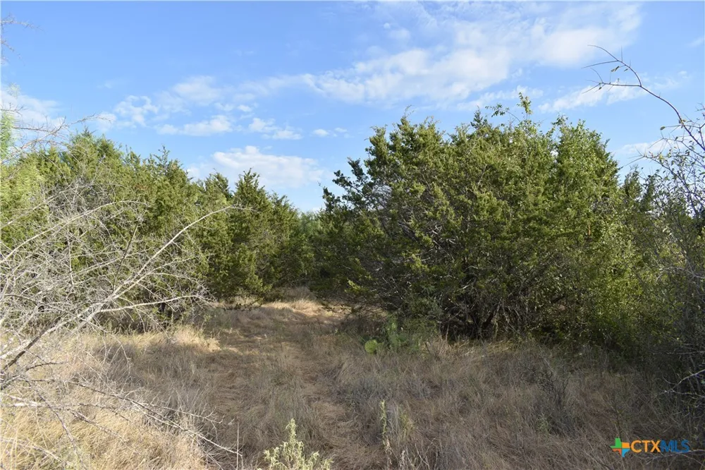 3877 W US Highway 190 Lometa, TX 76853