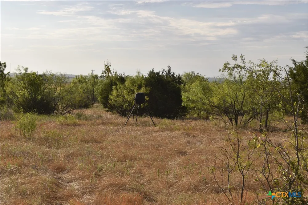 3877 W US Highway 190 Lometa, TX 76853