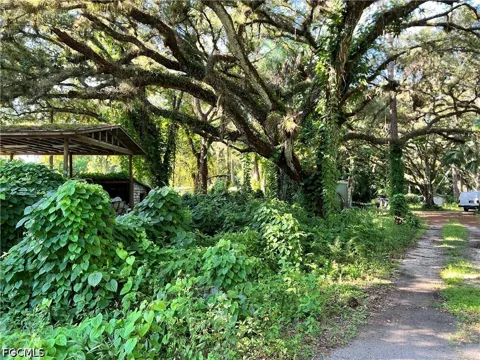 Taylor Road