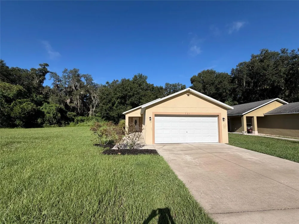705 5TH STREET Wildwood, FL 34785