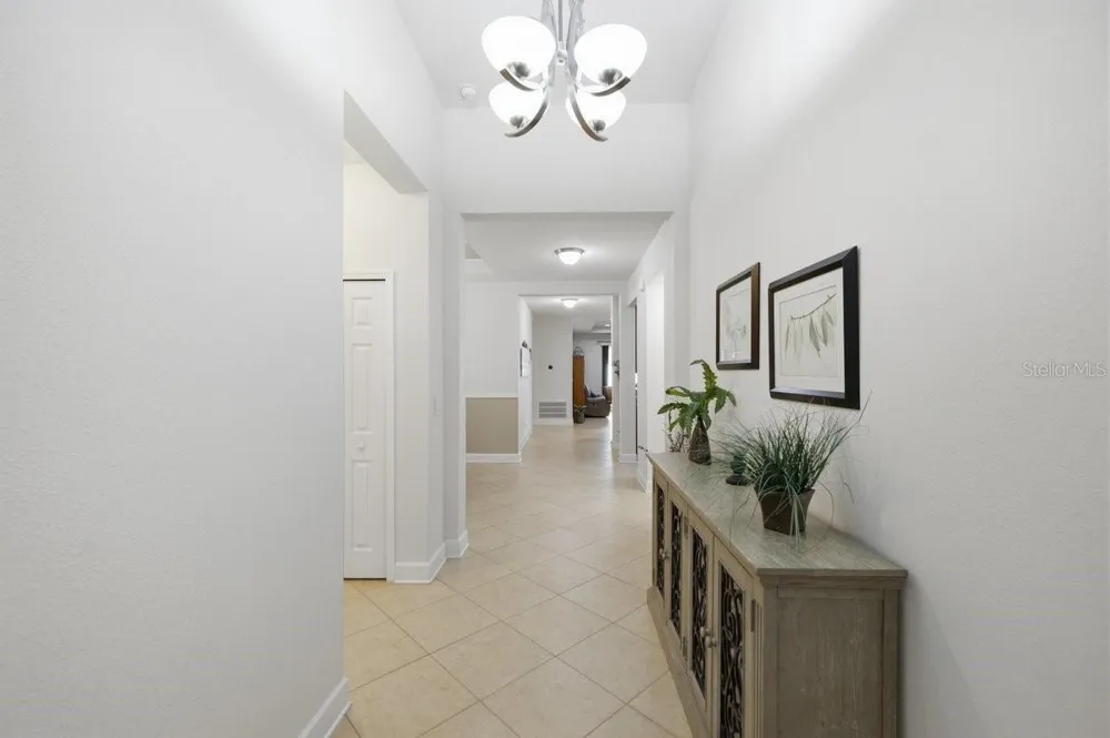 13739 ARTESA BELL DRIVE Riverview, FL 33579