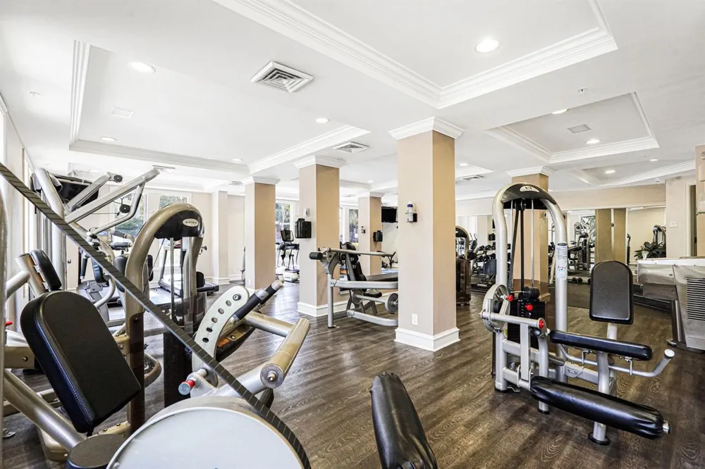 533 NE 3rd Avenue #230 Fort Lauderdale, FL 33301