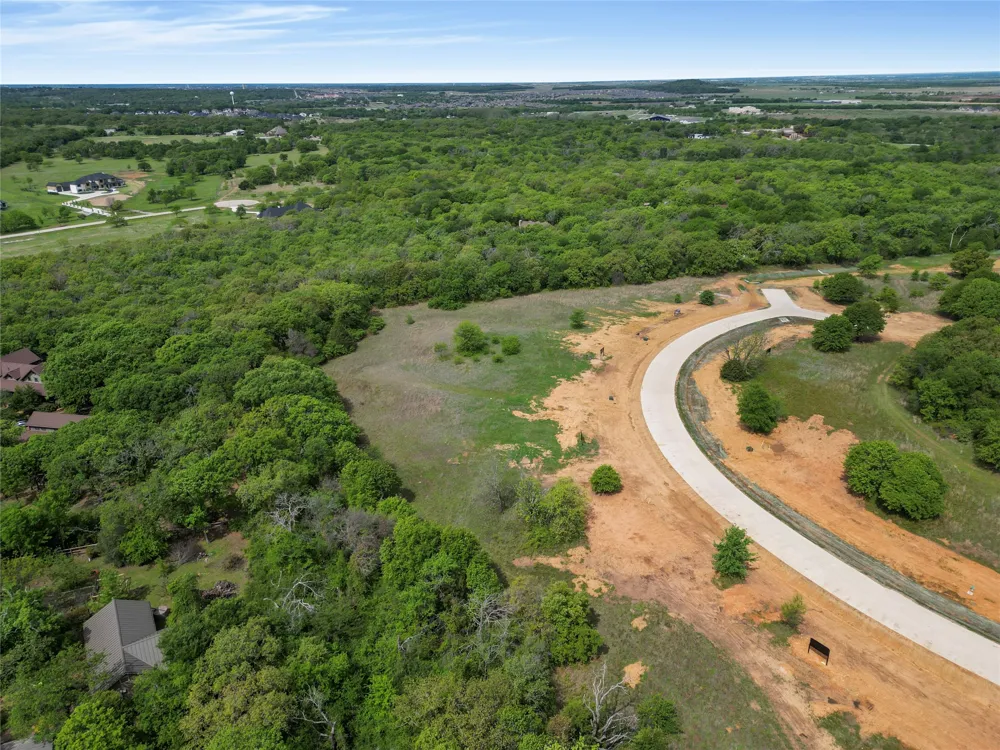 1131 Ellen Donald Lane Argyle, TX 76226