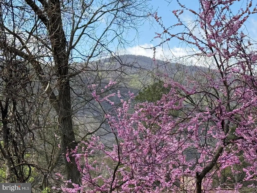 JONATHAN ROAD Linden, VA 22642