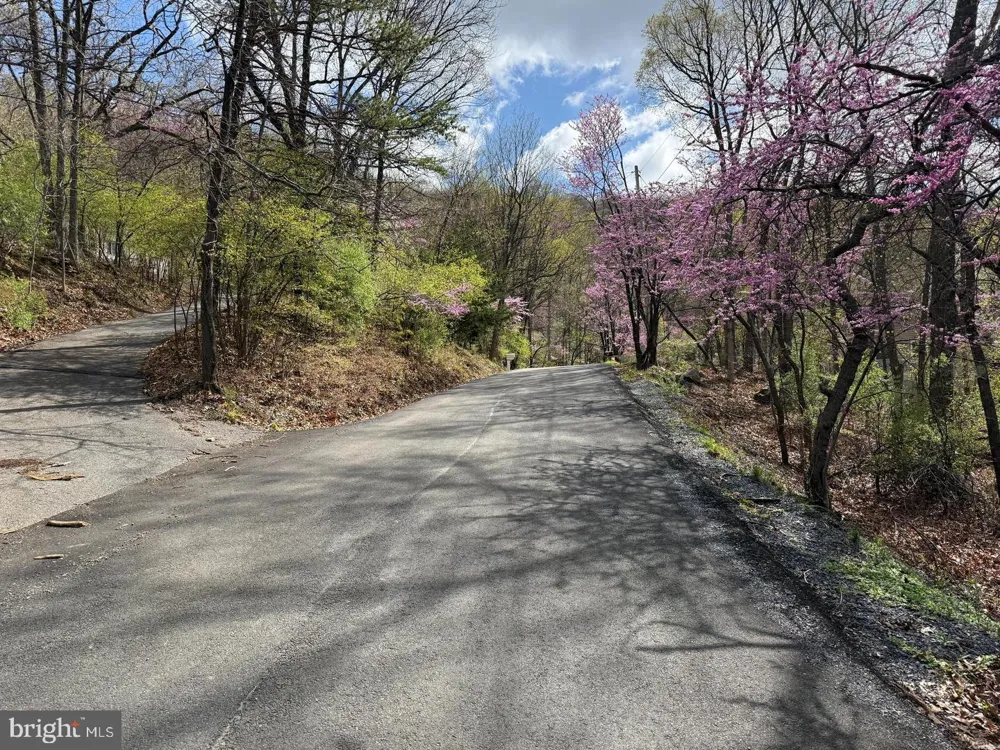 JONATHAN ROAD Linden, VA 22642