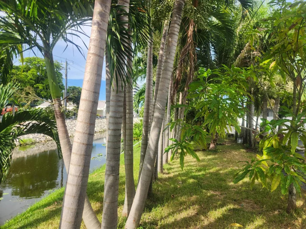 225 S SEQUOIA DRIVE West Palm Beach, FL 33409