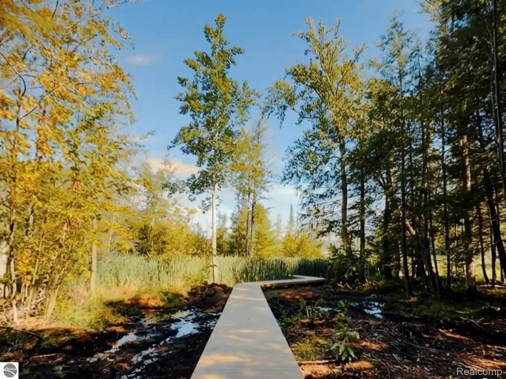 2370 Us Highway 31 Torch Lake Township, MI 49648