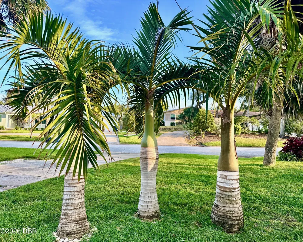 153 University Circle Ormond Beach, FL 32176