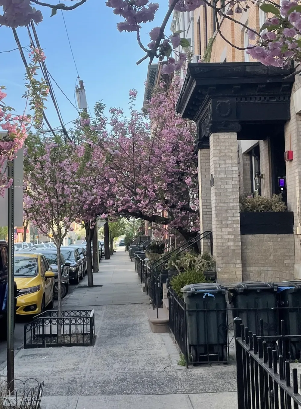 1009 WILLOW AVE Hoboken, NJ 07030
