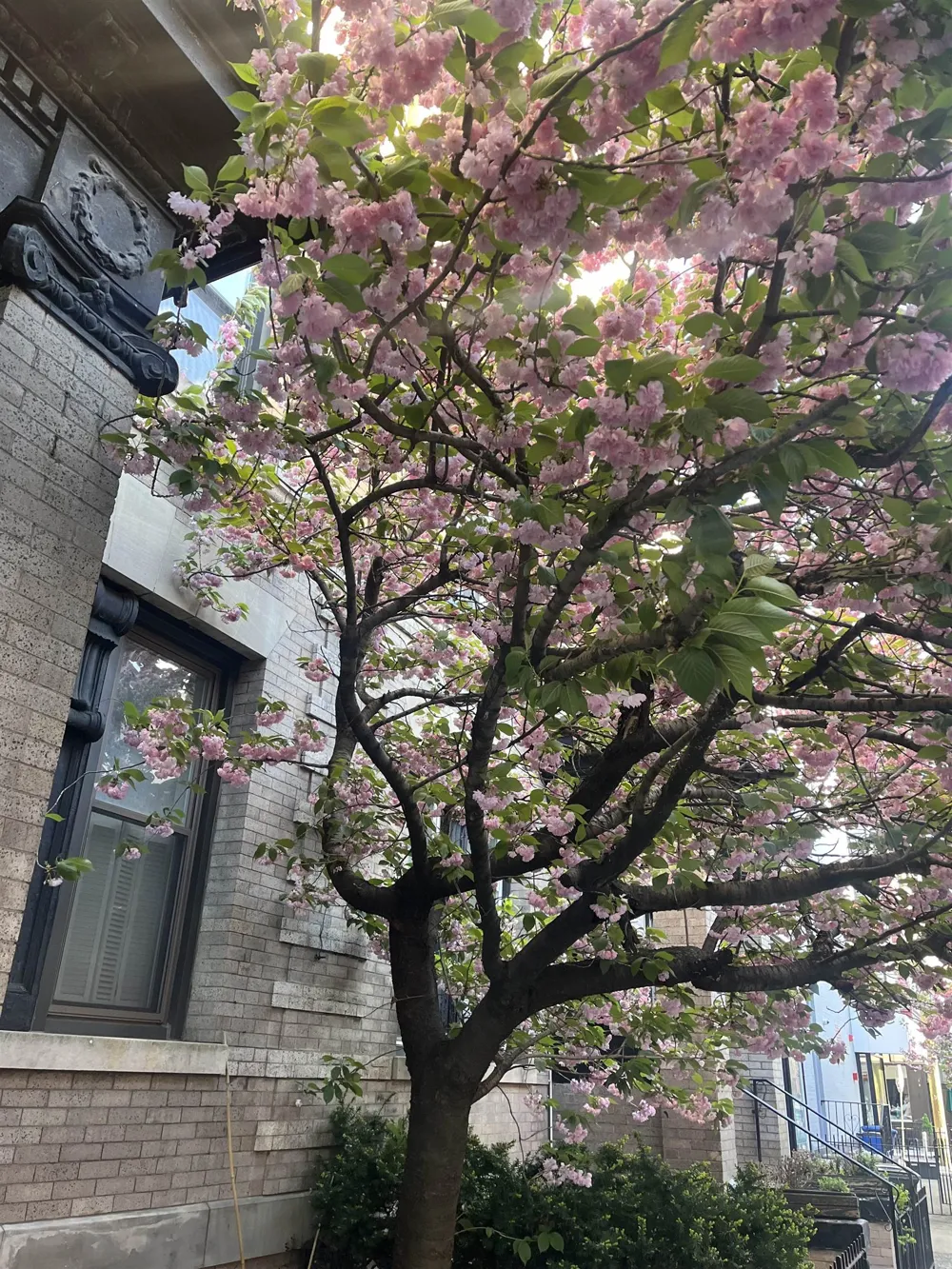 1009 WILLOW AVE Hoboken, NJ 07030