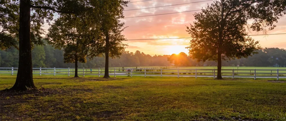 28207 Dobbin Huffsmith Road Magnolia, TX 77354
