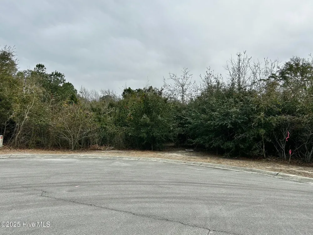 110 Brandon Avenue Hubert, NC 28539