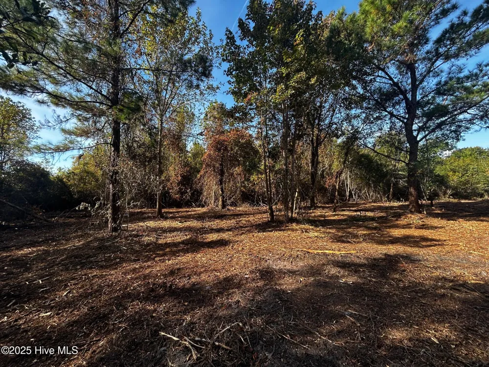 110 Brandon Avenue Hubert, NC 28539