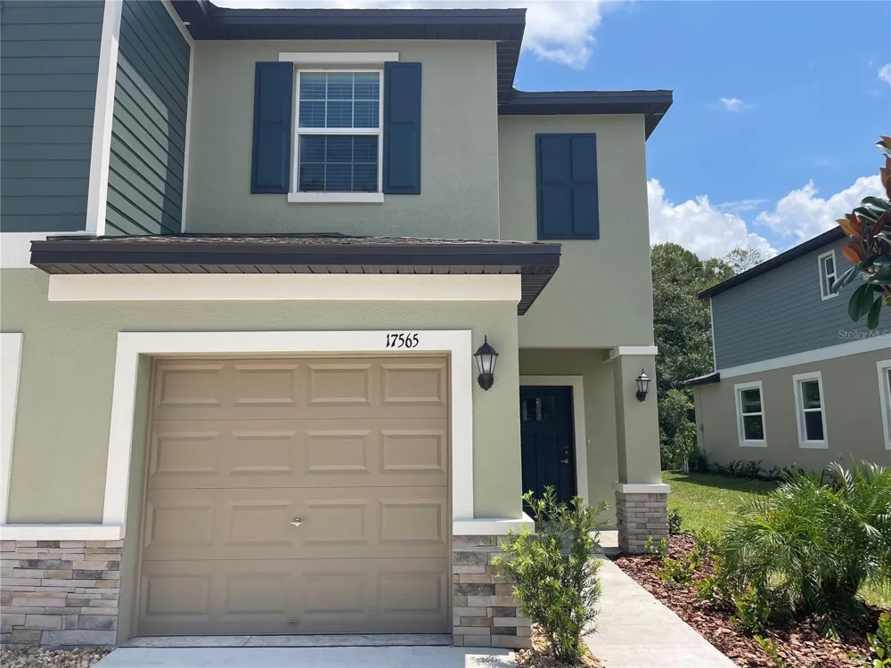 17565 NECTAR FLUME DRIVE Land O Lakes, FL 34638