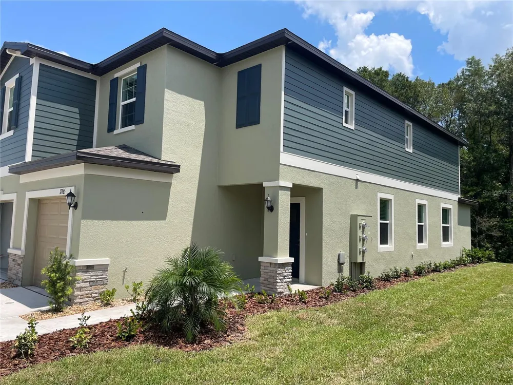 17565 NECTAR FLUME DRIVE Land O Lakes, FL 34638