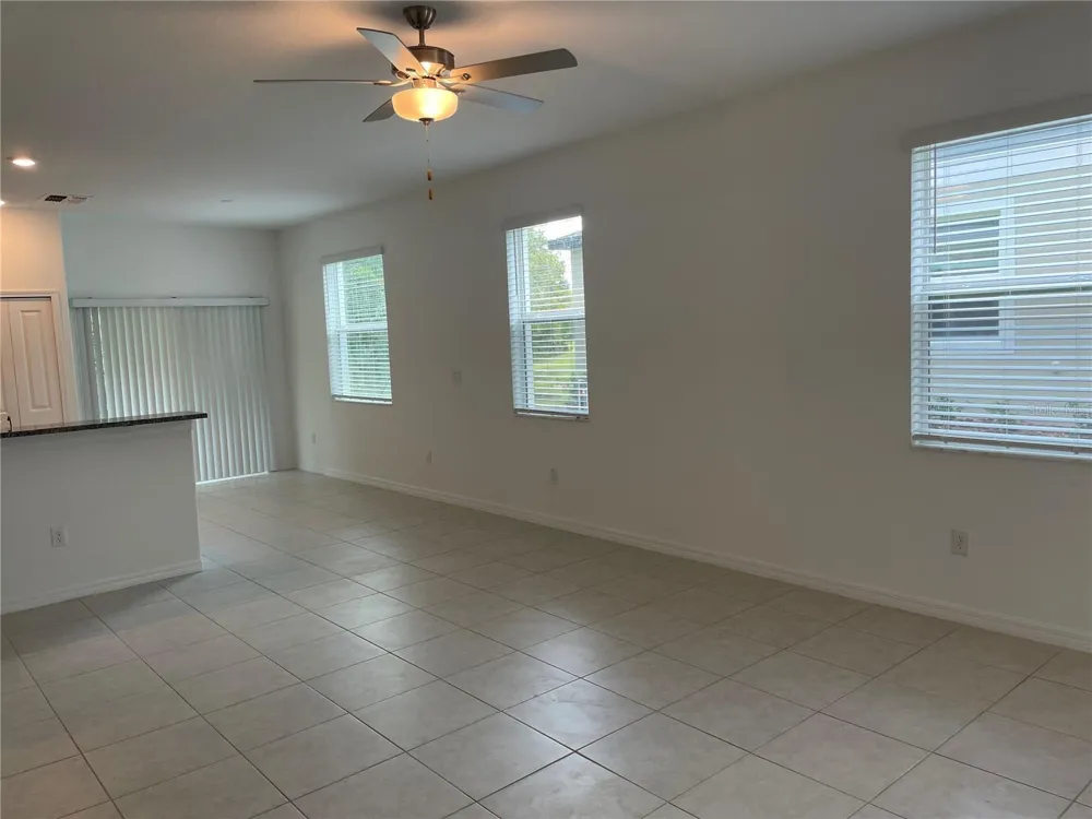 17565 NECTAR FLUME DRIVE Land O Lakes, FL 34638