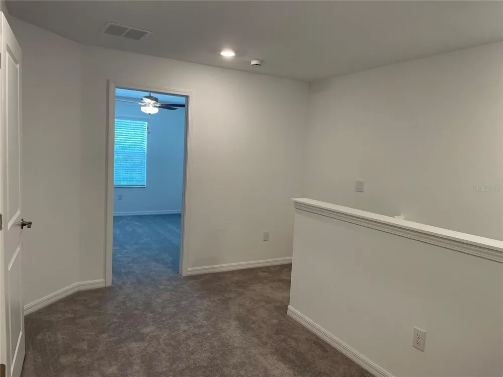 17565 NECTAR FLUME DRIVE Land O Lakes, FL 34638