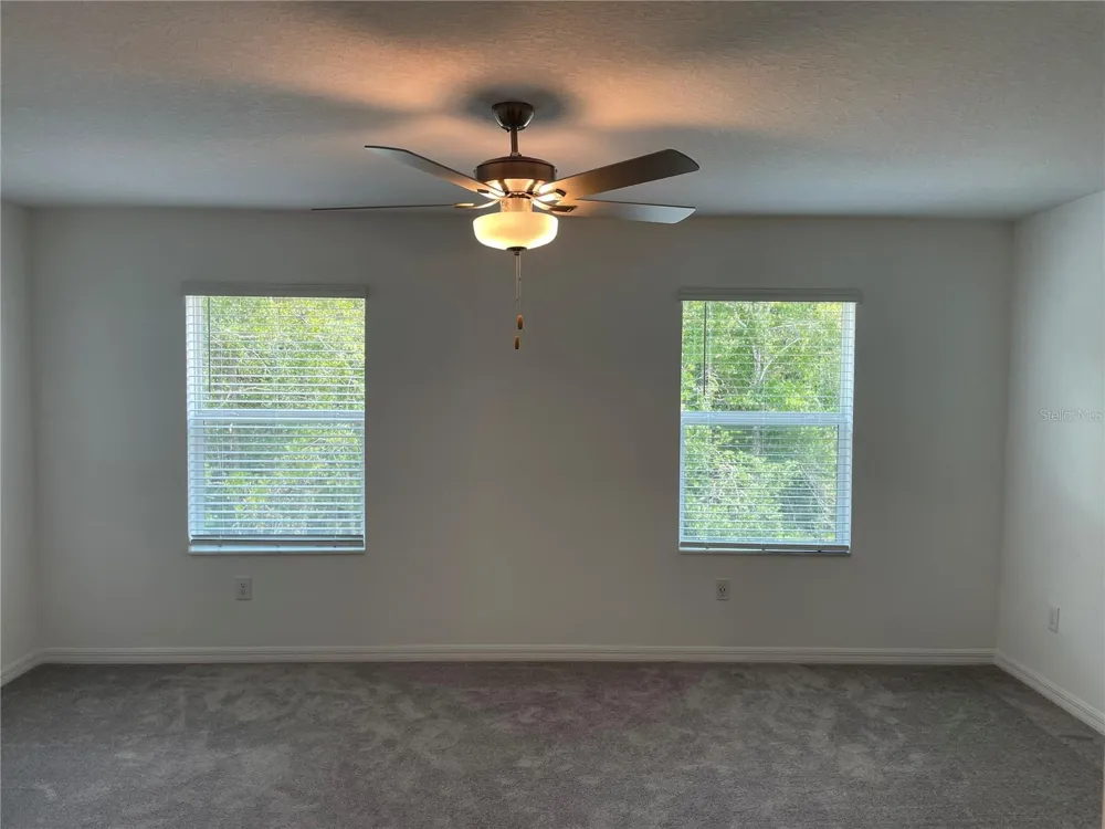 17565 NECTAR FLUME DRIVE Land O Lakes, FL 34638