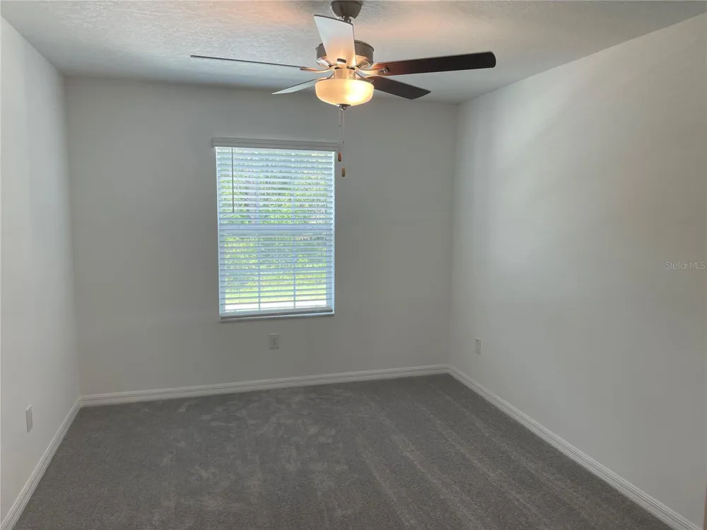 17565 NECTAR FLUME DRIVE Land O Lakes, FL 34638