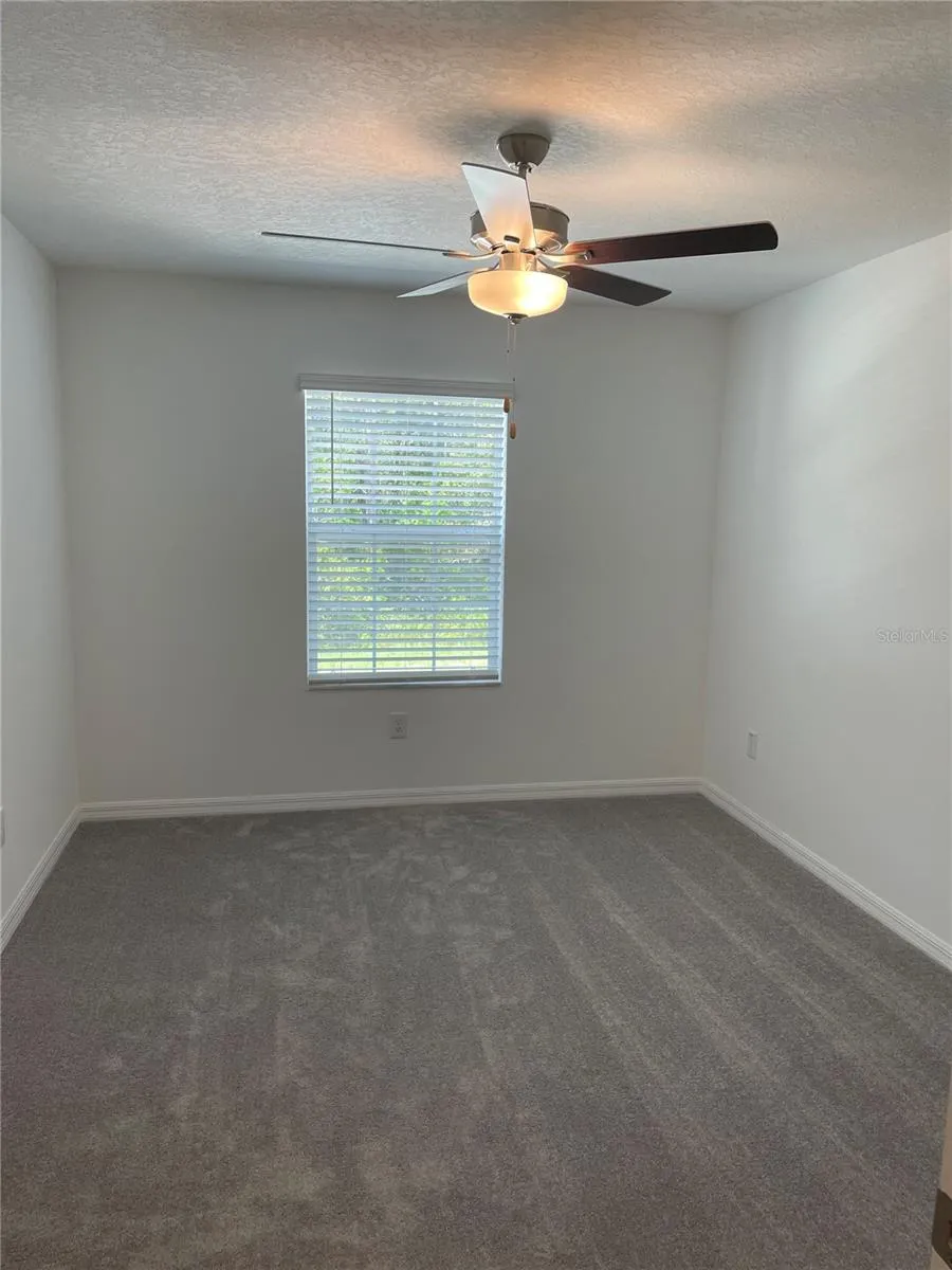 17565 NECTAR FLUME DRIVE Land O Lakes, FL 34638