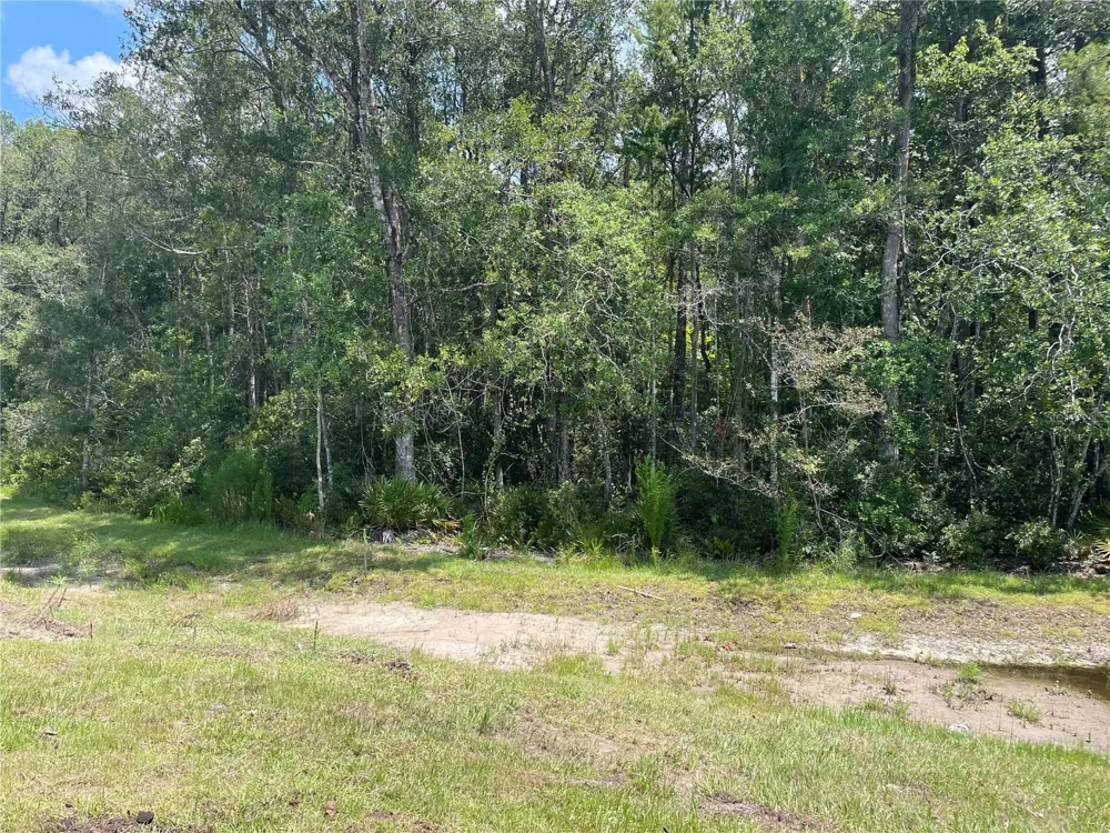 17565 NECTAR FLUME DRIVE Land O Lakes, FL 34638