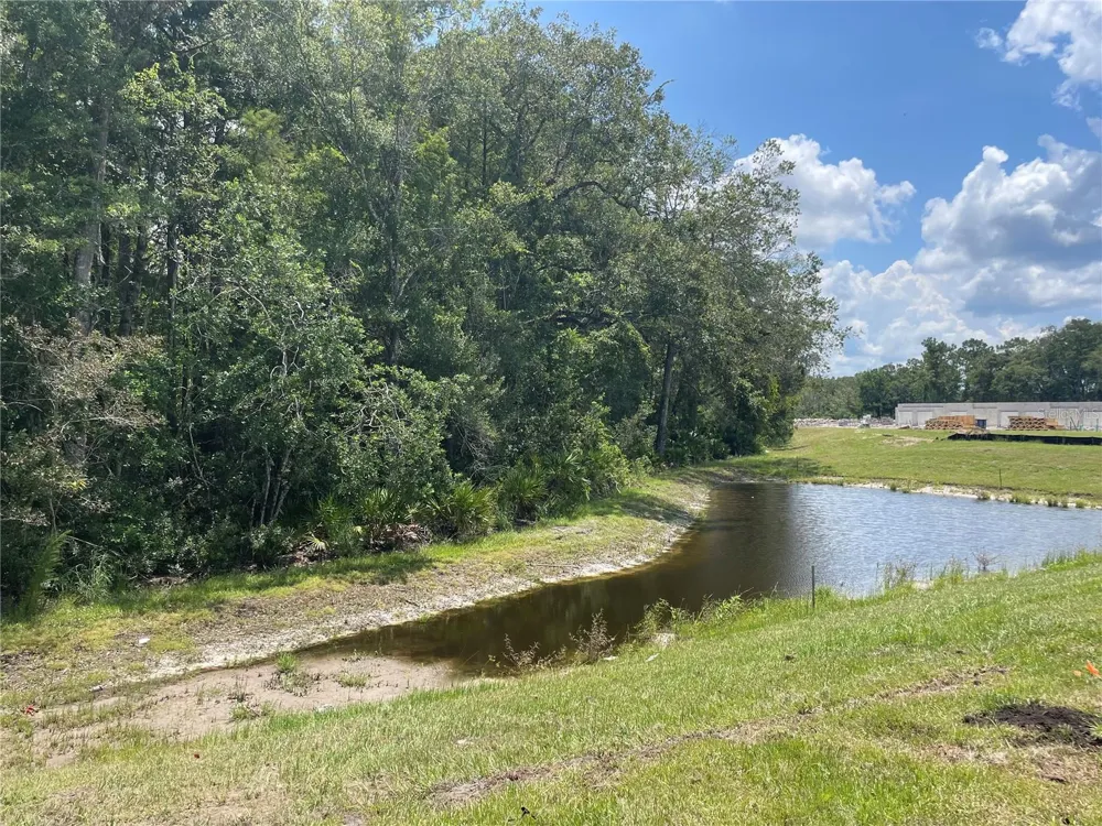 17565 NECTAR FLUME DRIVE Land O Lakes, FL 34638