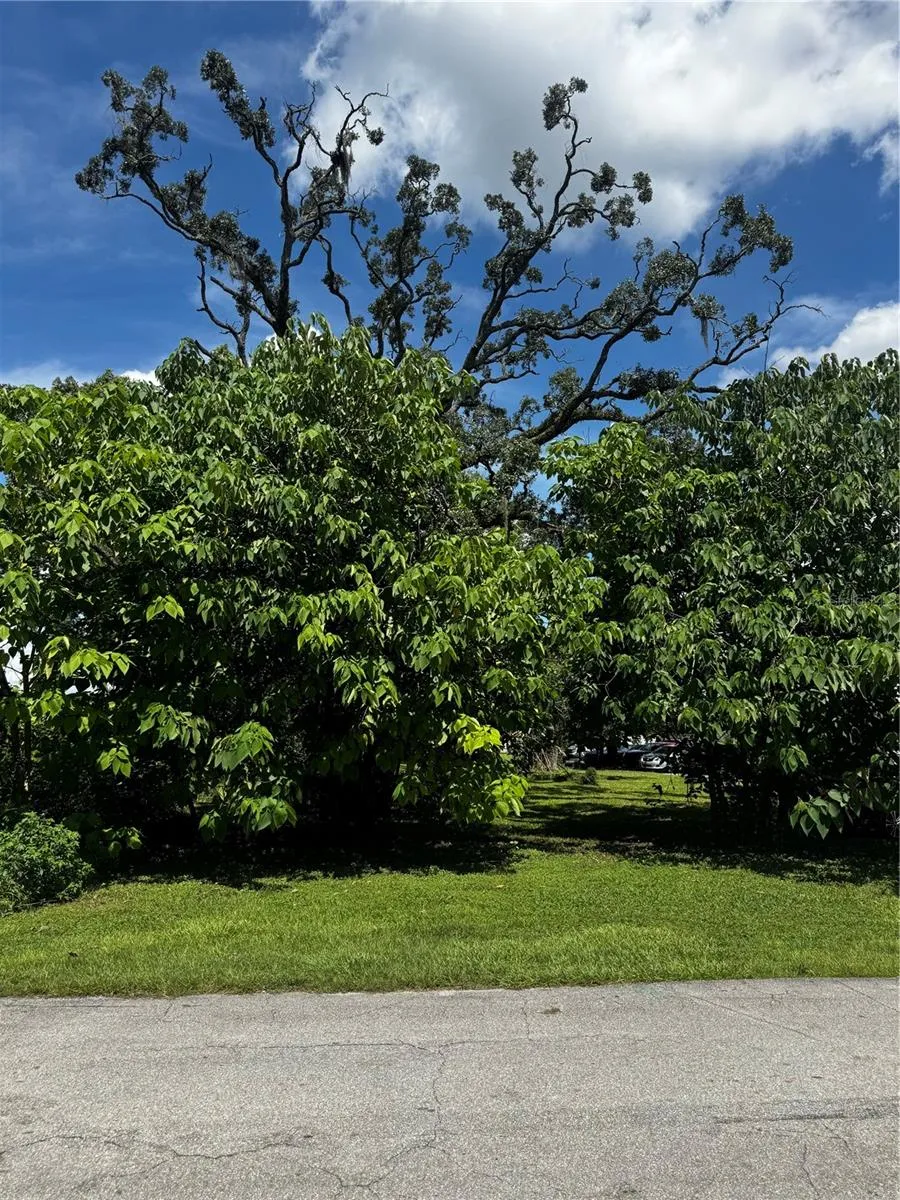 0 NW 10TH STREET ocala, FL 34475