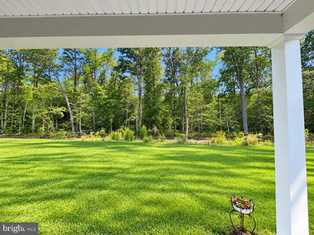 34068 SKYFLOWER LOOP Lewes, DE 19958