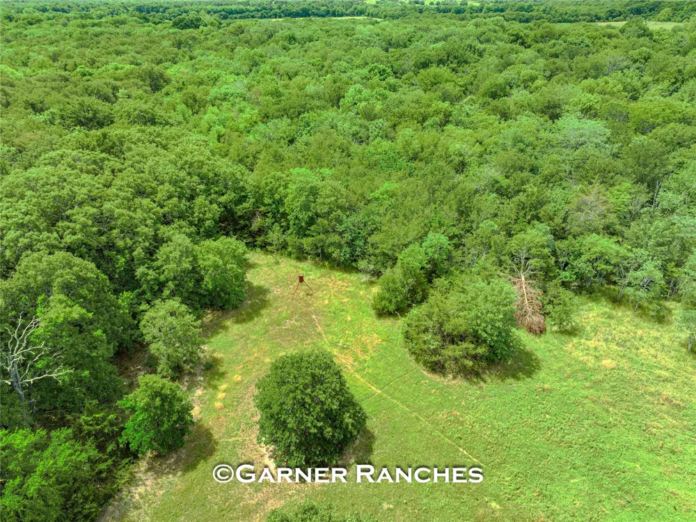 County Road 1019 Celeste, TX 75423