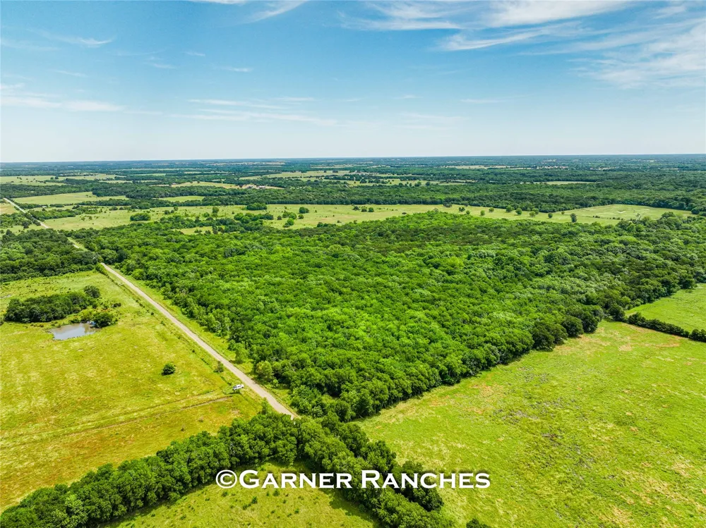 County Road 1019 Celeste, TX 75423