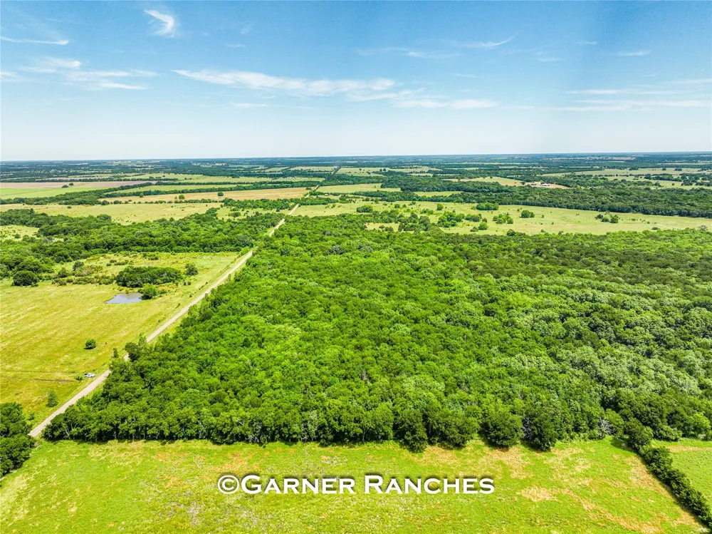 County Road 1019 Celeste, TX 75423