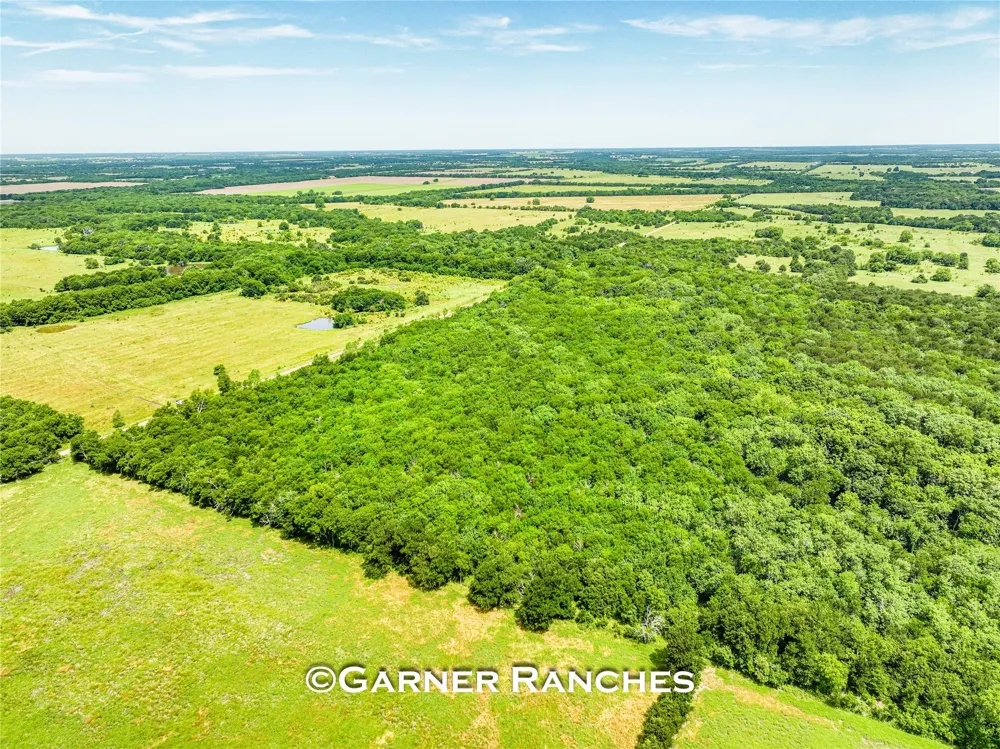 County Road 1019 Celeste, TX 75423
