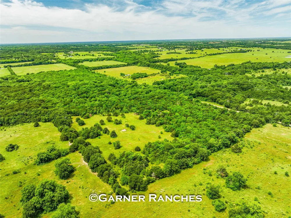 County Road 1019 Celeste, TX 75423
