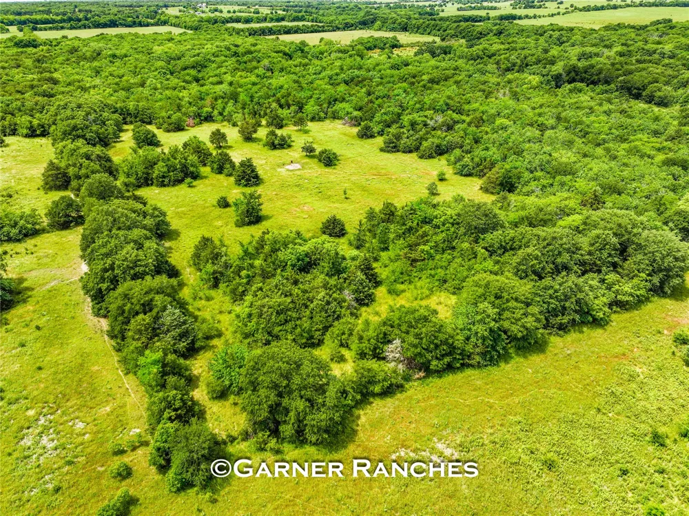 County Road 1019 Celeste, TX 75423