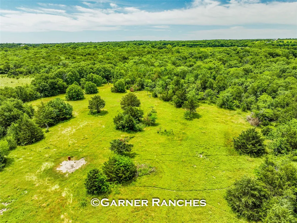 County Road 1019 Celeste, TX 75423
