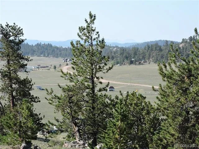 640 Arapaho Trail Hartsel, CO 80449