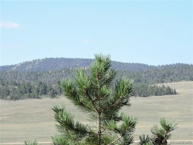 640 Arapaho Trail Hartsel, CO 80449