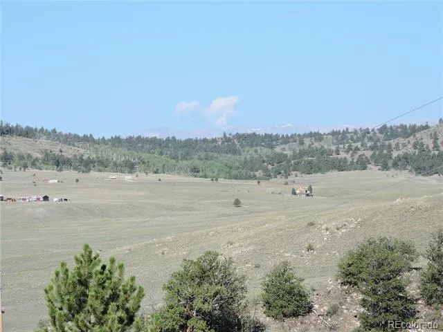 640 Arapaho Trail Hartsel, CO 80449