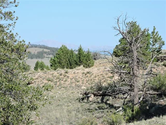 640 Arapaho Trail Hartsel, CO 80449