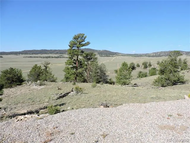 640 Arapaho Trail Hartsel, CO 80449