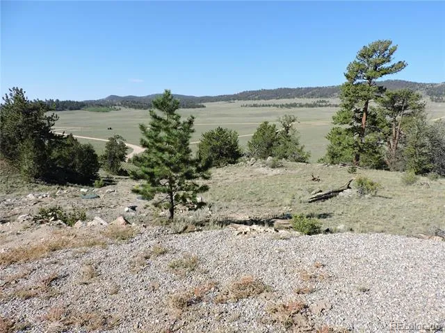 640 Arapaho Trail Hartsel, CO 80449